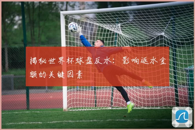 揭秘世界杯球盘反水：影响返水金额的关键因素