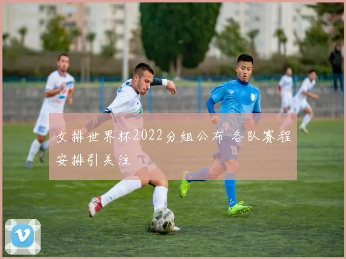 女排世界杯2022分组公布 各队赛程安排引关注