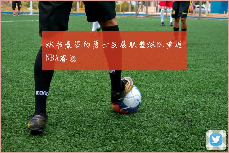 林书豪签约勇士发展联盟球队重返NBA赛场