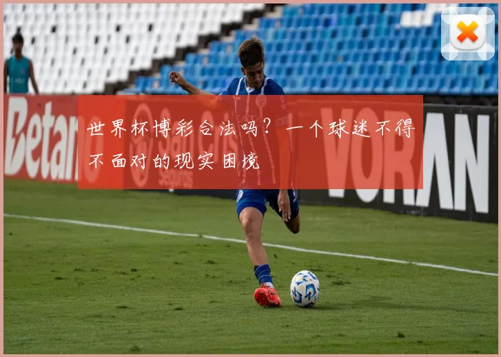 世界杯博彩合法吗?一个球迷不得不面对的现实困境