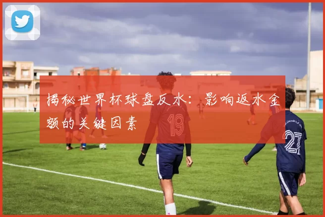 揭秘世界杯球盘反水：影响返水金额的关键因素