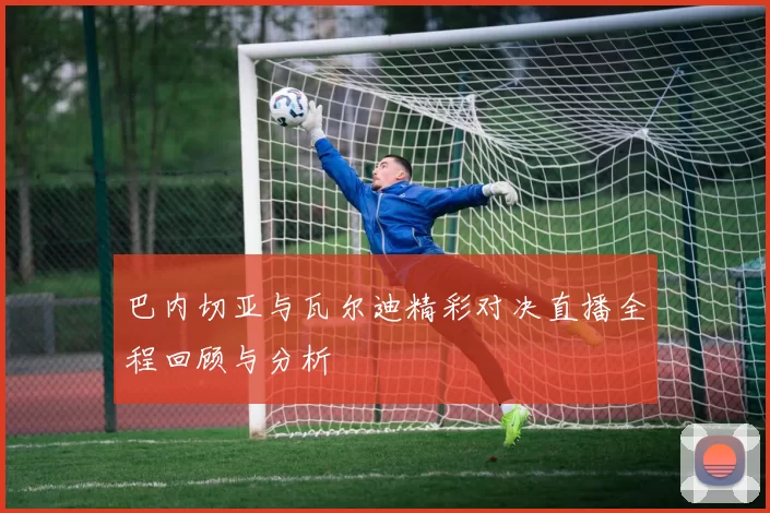 巴内切亚与瓦尔迪精彩对决直播全程回顾与分析