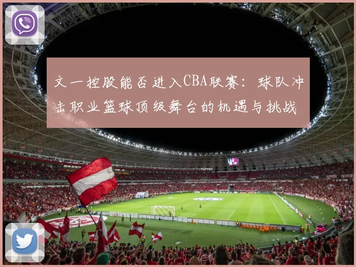 文一控股能否进入CBA联赛：球队冲击职业篮球顶级舞台的机遇与挑战