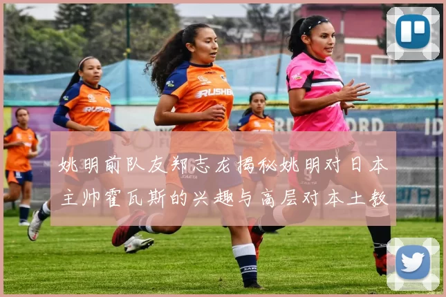 姚明前队友郑志龙揭秘姚明对日本主帅霍瓦斯的兴趣与高层对本土教练的偏好