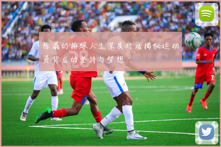 陈磊的排球人生深度对话揭秘运动员背后的坚持与梦想