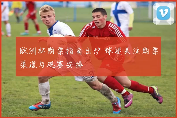 欧洲杯购票指南出炉 球迷关注购票渠道与观赛安排
