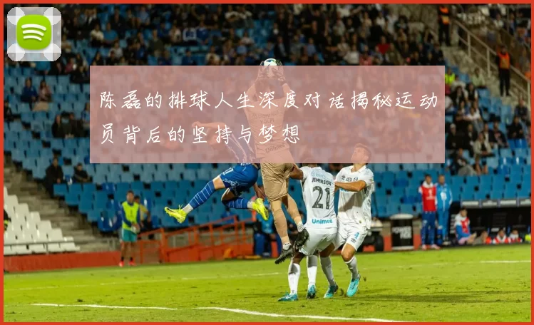 陈磊的排球人生深度对话揭秘运动员背后的坚持与梦想